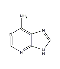 adenine